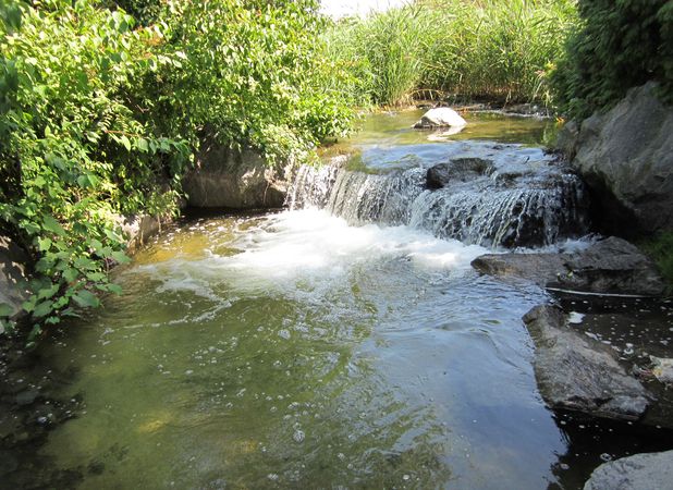 A Stream in Montreal 3